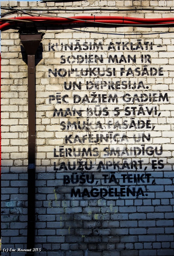 IMG_5608.jpg