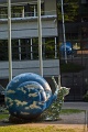 IMG_5646