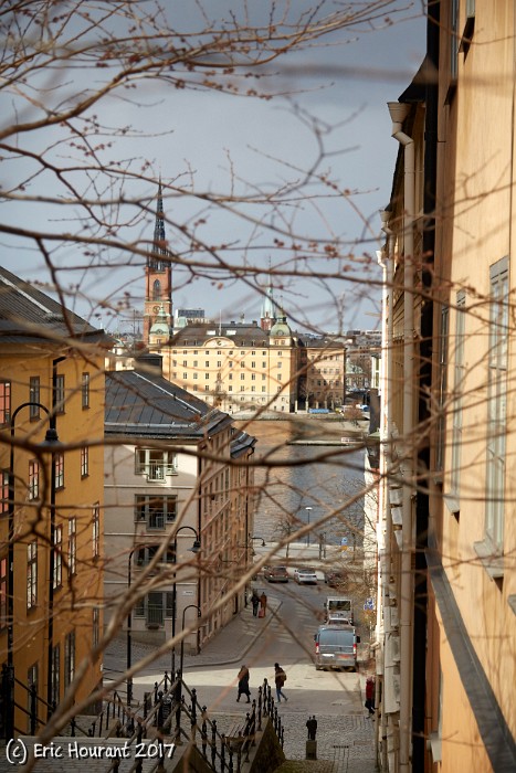 IMG_7765.jpg