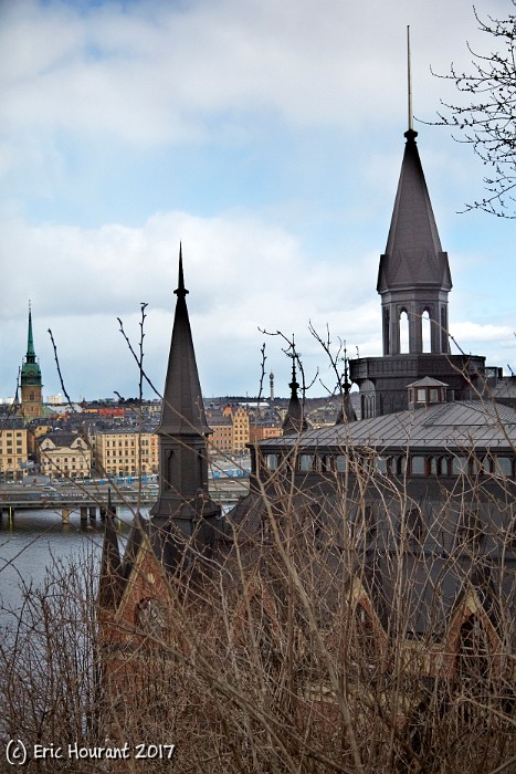 IMG_7770.jpg