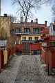 IMG_7775