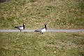 IMG_7790