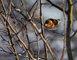 IMG_7564