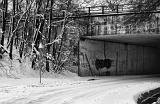 IMG_7625