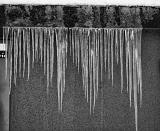 IMG_7626