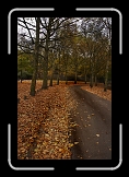 IMG_1727_1