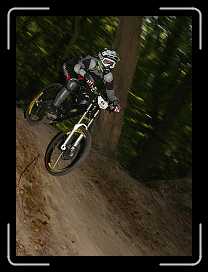 IMG_0975 * 2336 x 3174 * (3.94MB)