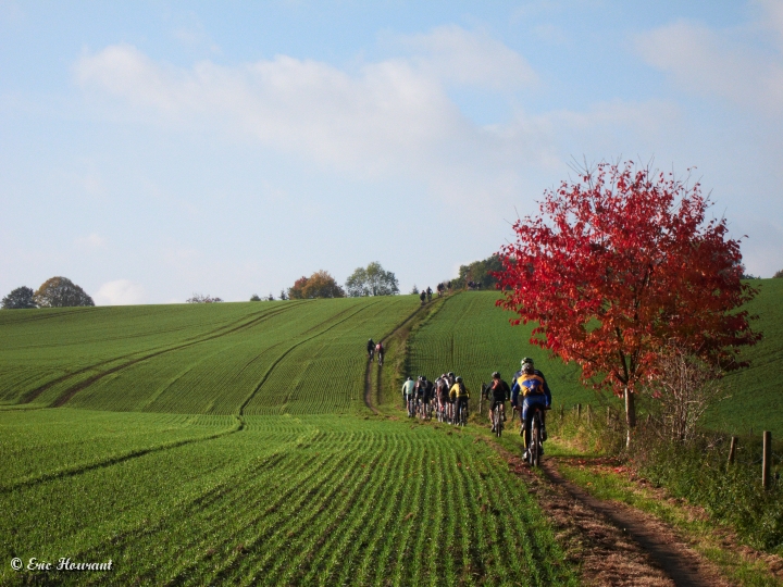 IMG_1604.jpg - 30 octobre, 17°c. Qui dit mieux ?                               