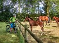 IMG_6791